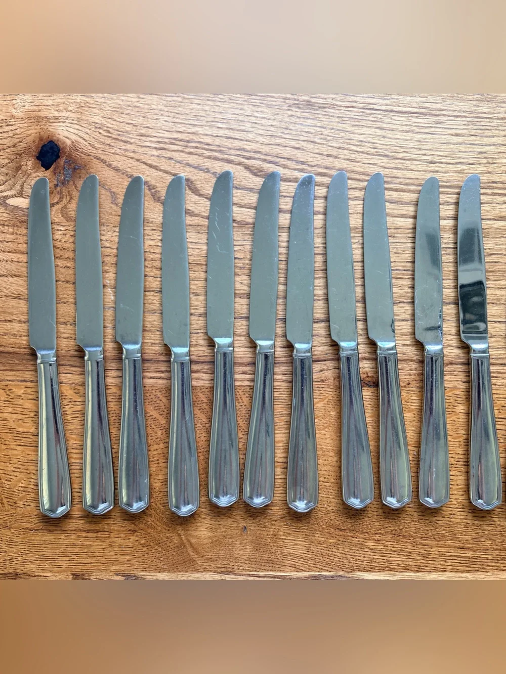 Reed & Barton Tarbor Stainless Steel Dinner Knife Set of 11
